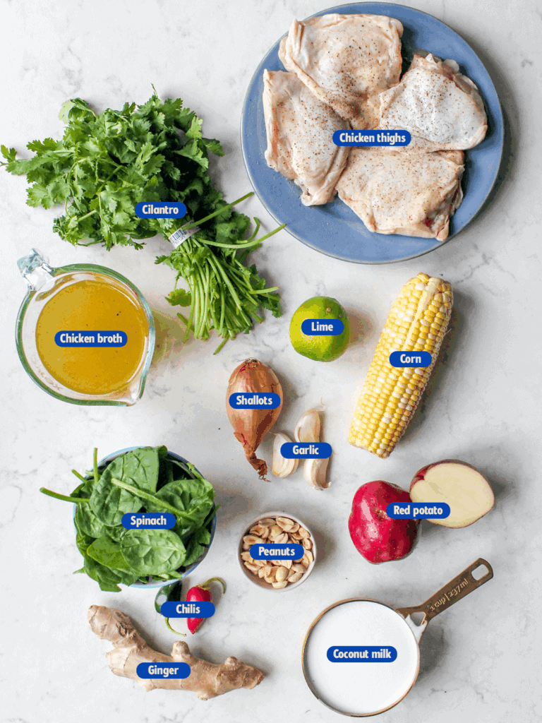 labeled ingredients for spicy coconut chicken soup