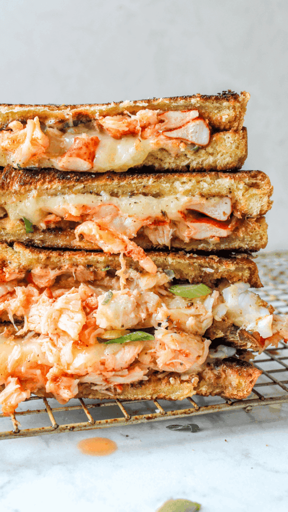 close up of lobster grilled cheese