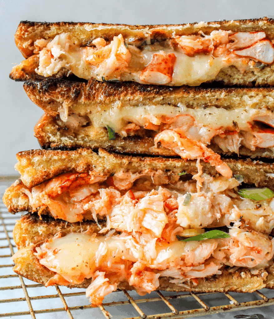close up of lobster grilled cheese