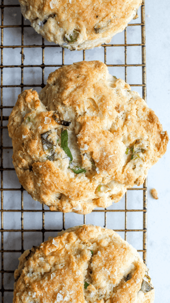 Sour Cream and Scallion Biscuit on baking sheet