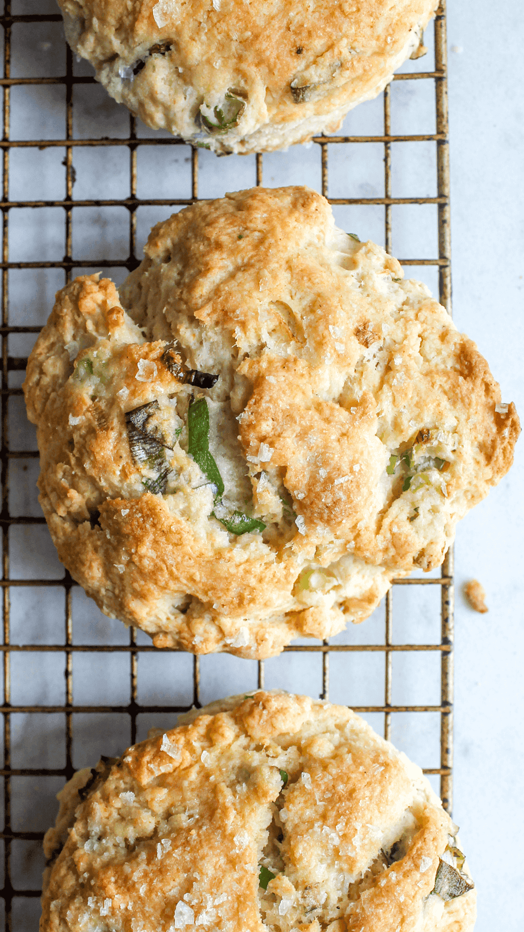 Sour Cream and Scallion Biscuit on baking sheet
